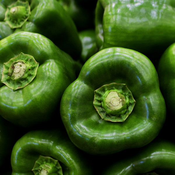 [새벽경매] 국내산 청피망 1kg/3kg/5kg/10kg