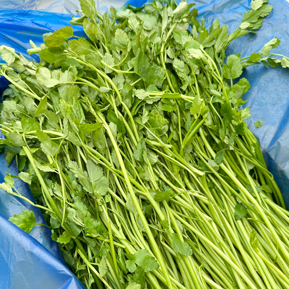 [새벽경매] 국내산 돌미나리 300g/500g/1kg/2kg/4kg