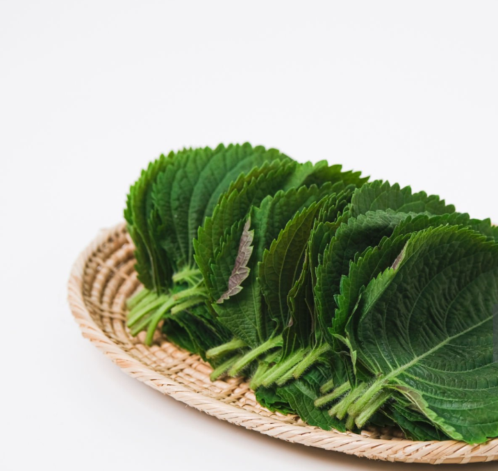 [새벽경매] 국내산 깻잎 300g/500g/1kg