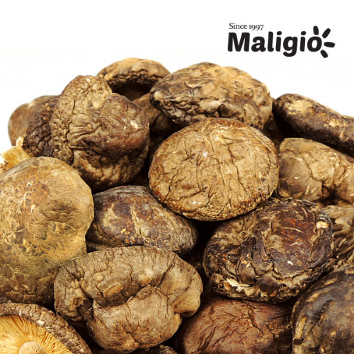 [말리죠] 건표고버섯(중) 500g/1kg