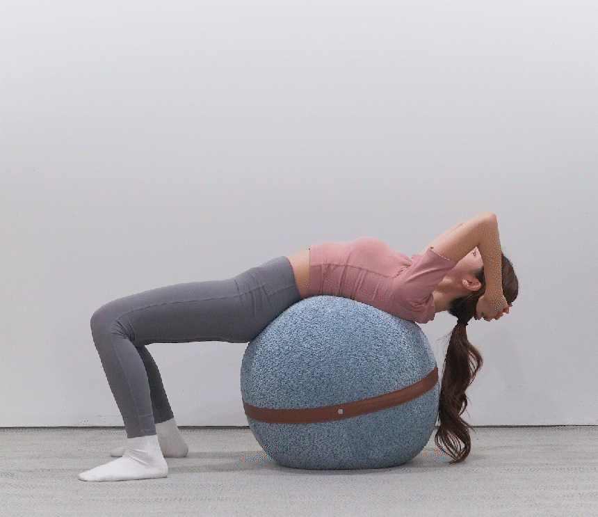 [보랄] 물리치료사와 함께 만든 코어 밸런스 BR-C2511B