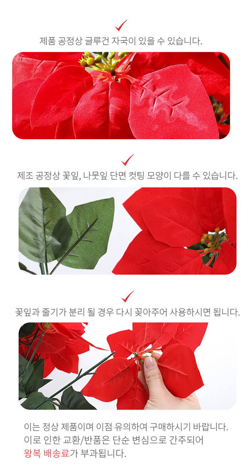 poinsettia_05.jpg