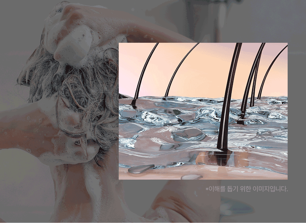 detail23.gif