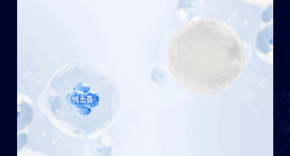 detail6.gif