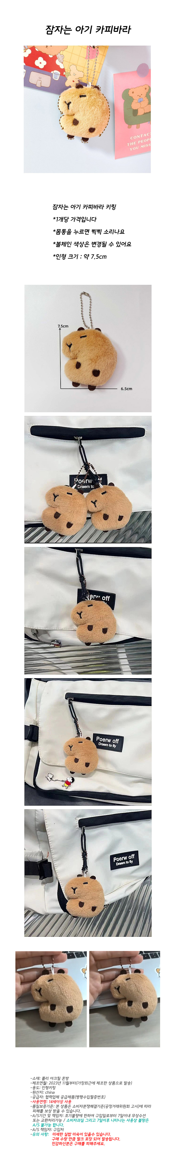 kapibara_keyring.jpg