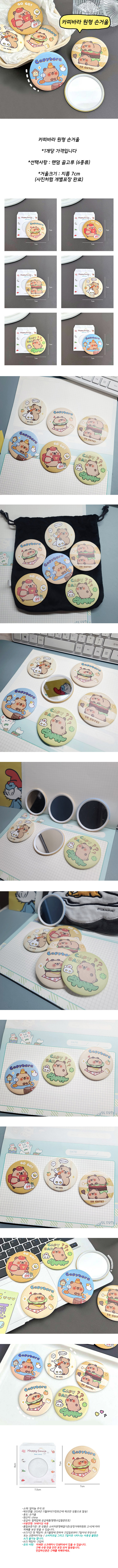 capybara_mirror.jpg