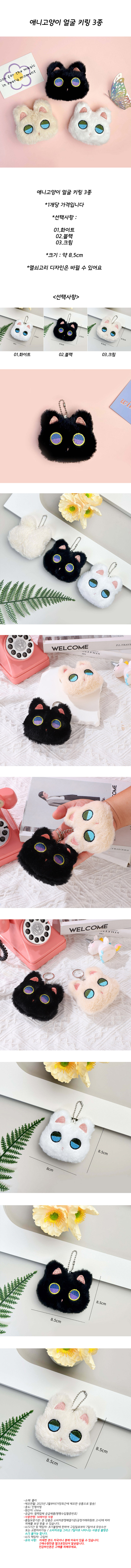 ani_cat_kr.jpg