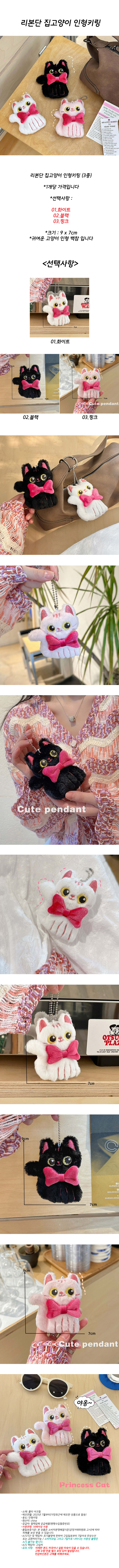 ribbon_homecat_kr.jpg