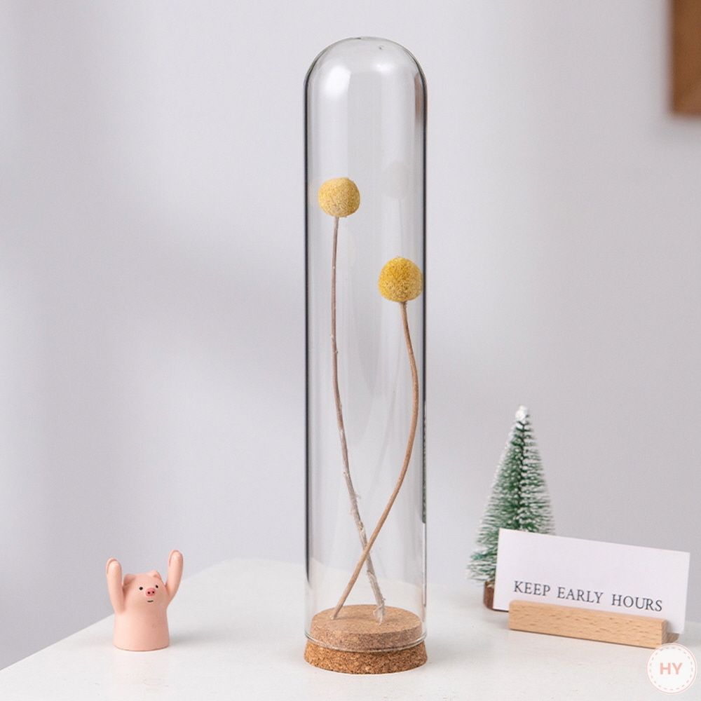 코르크 받침 유리돔  5*20cm [RB1759]