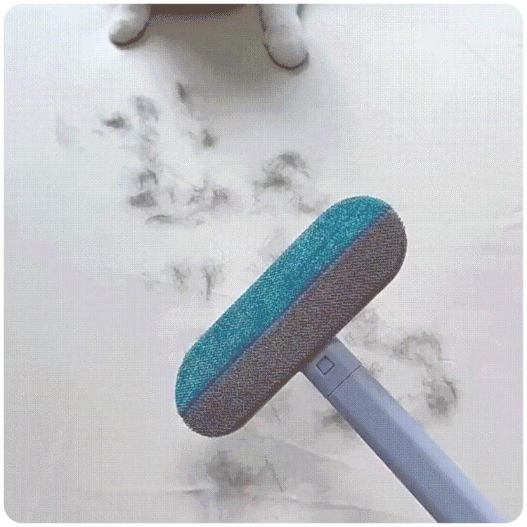 01_3_1.gif