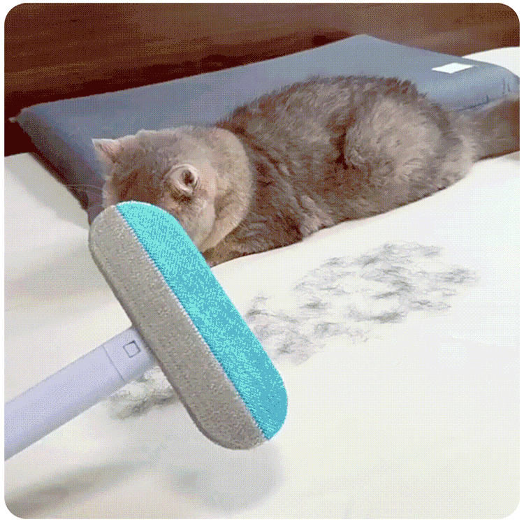 01_5_1.gif