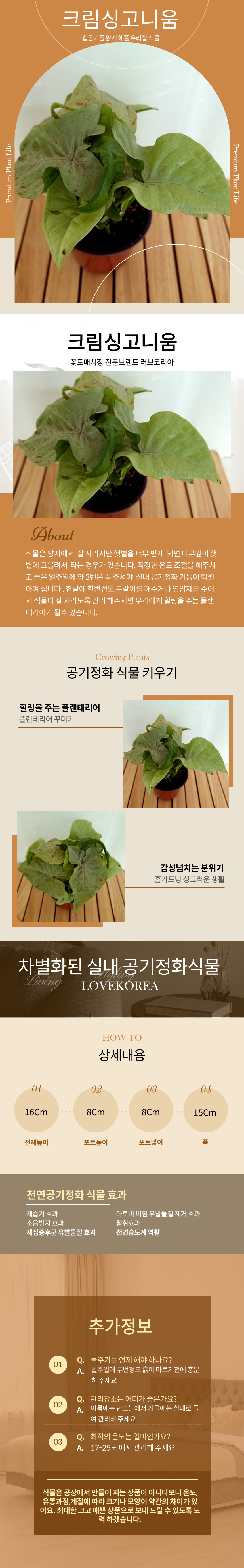 981-00.jpg