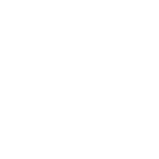 CapCut