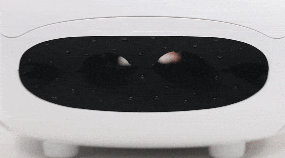 ZP8391_13.gif