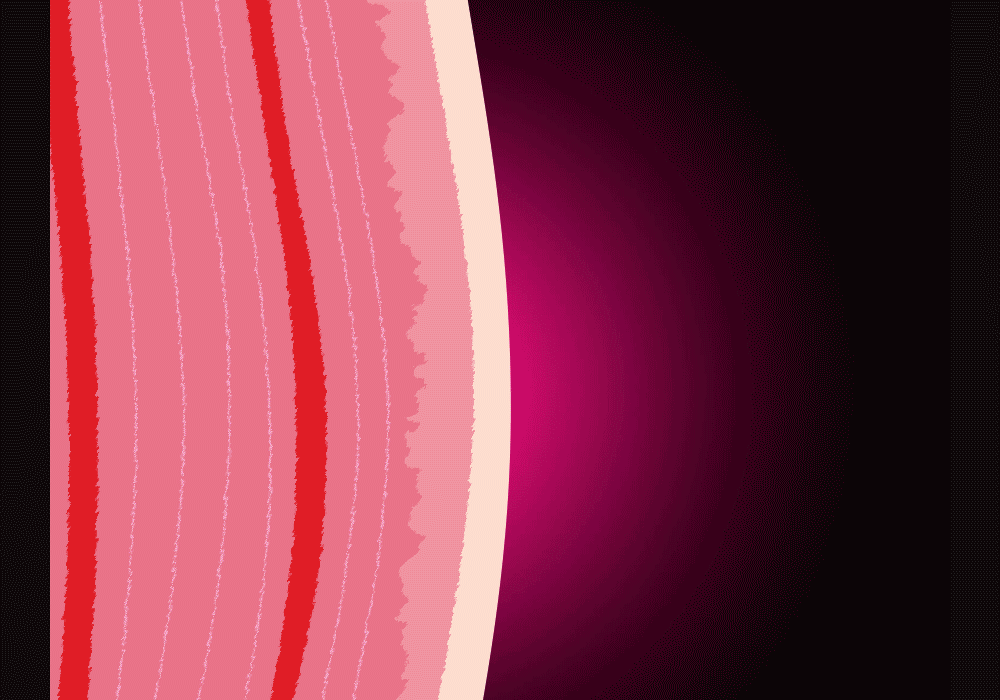 ZP5531_20.gif