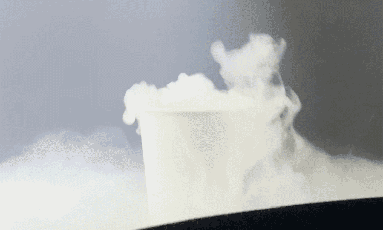 43.gif
