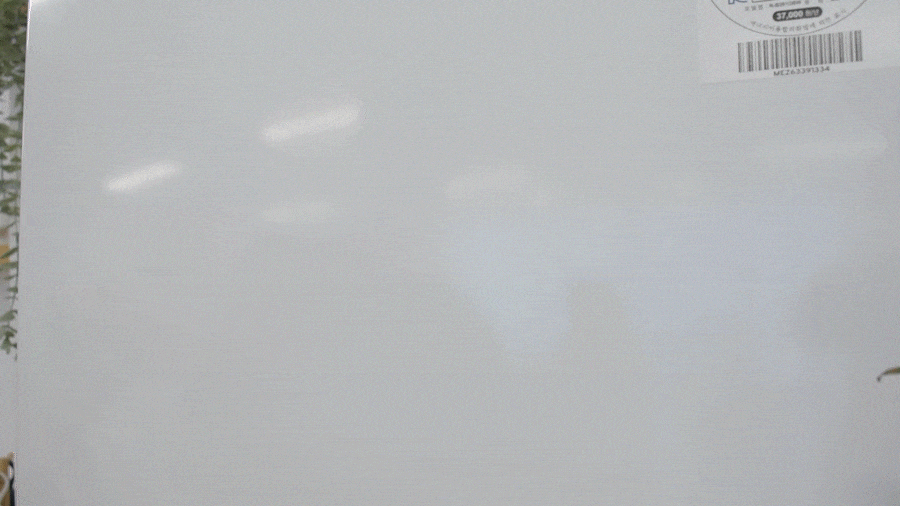 24.gif