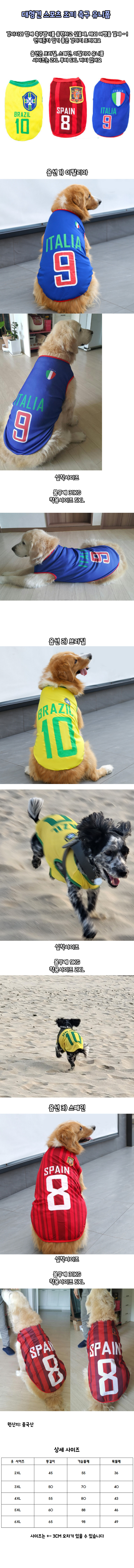 BIGD.jpg