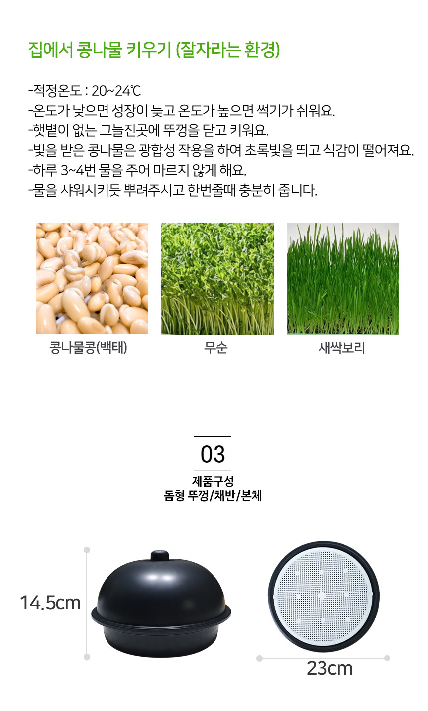 cong_07.jpg