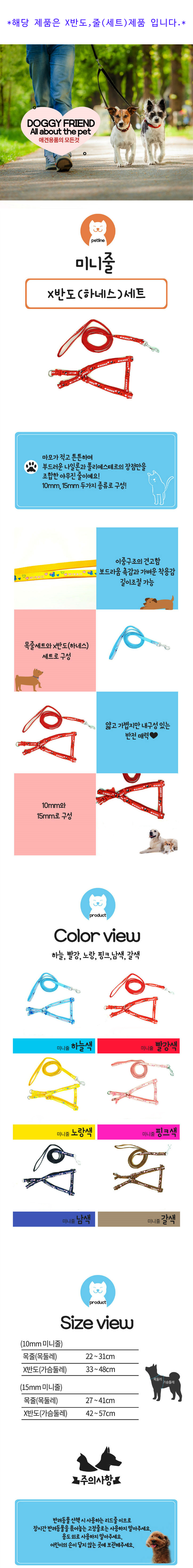 doggy-240927-0.jpg