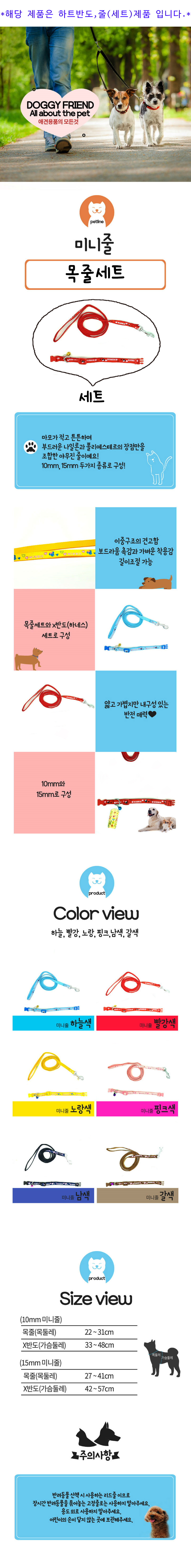 doggy-240927-4.jpg