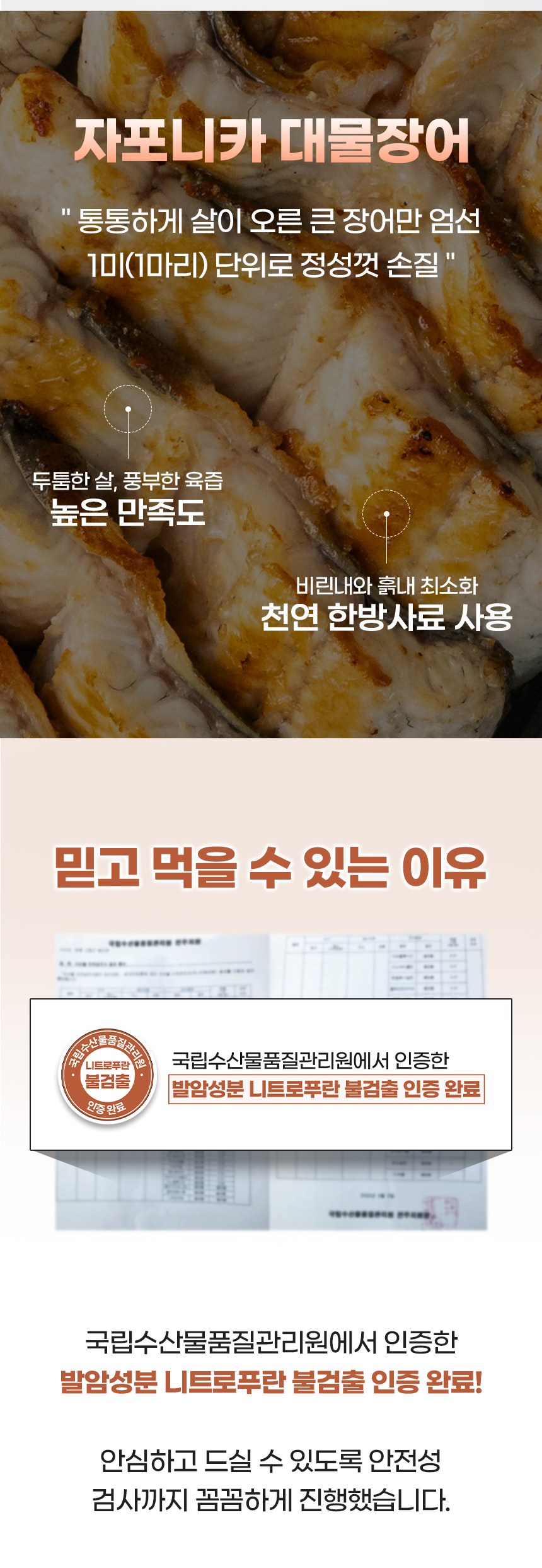 D_08.jpg