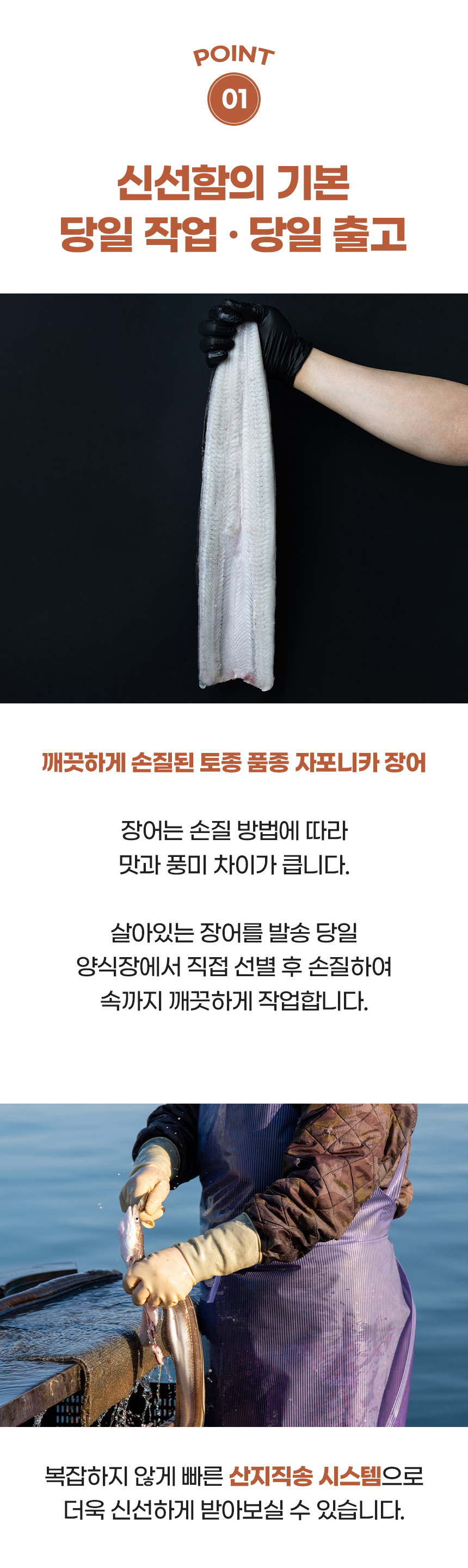 D_09.jpg