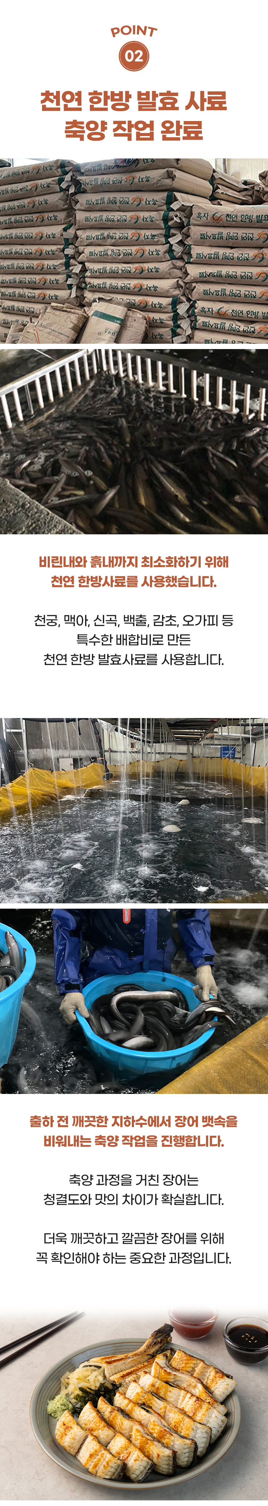 D_10.jpg