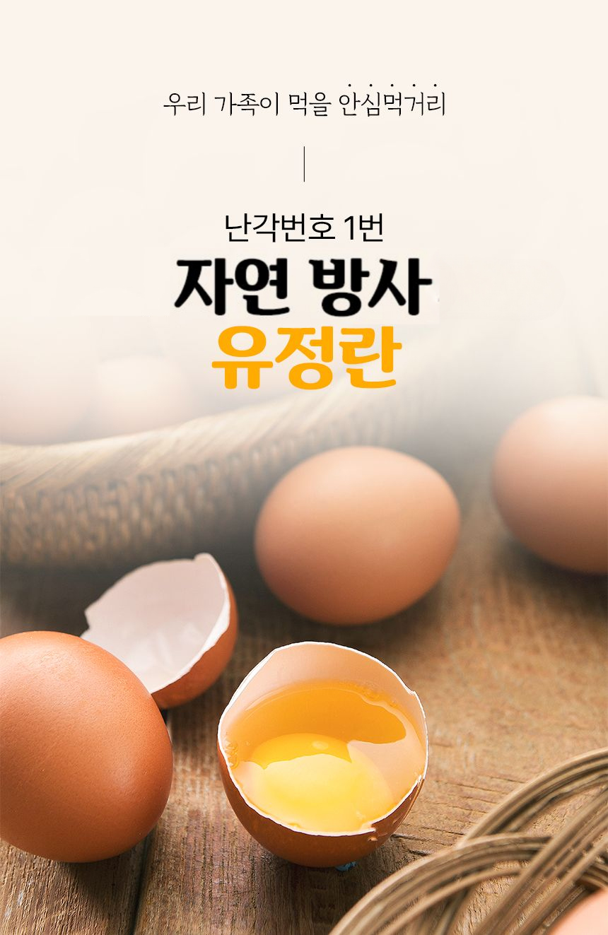 D_02_1.jpg