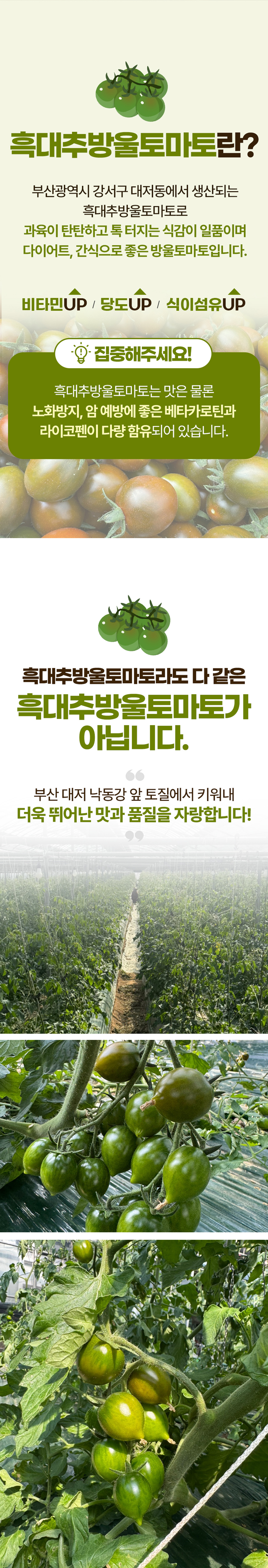 D_02.jpg