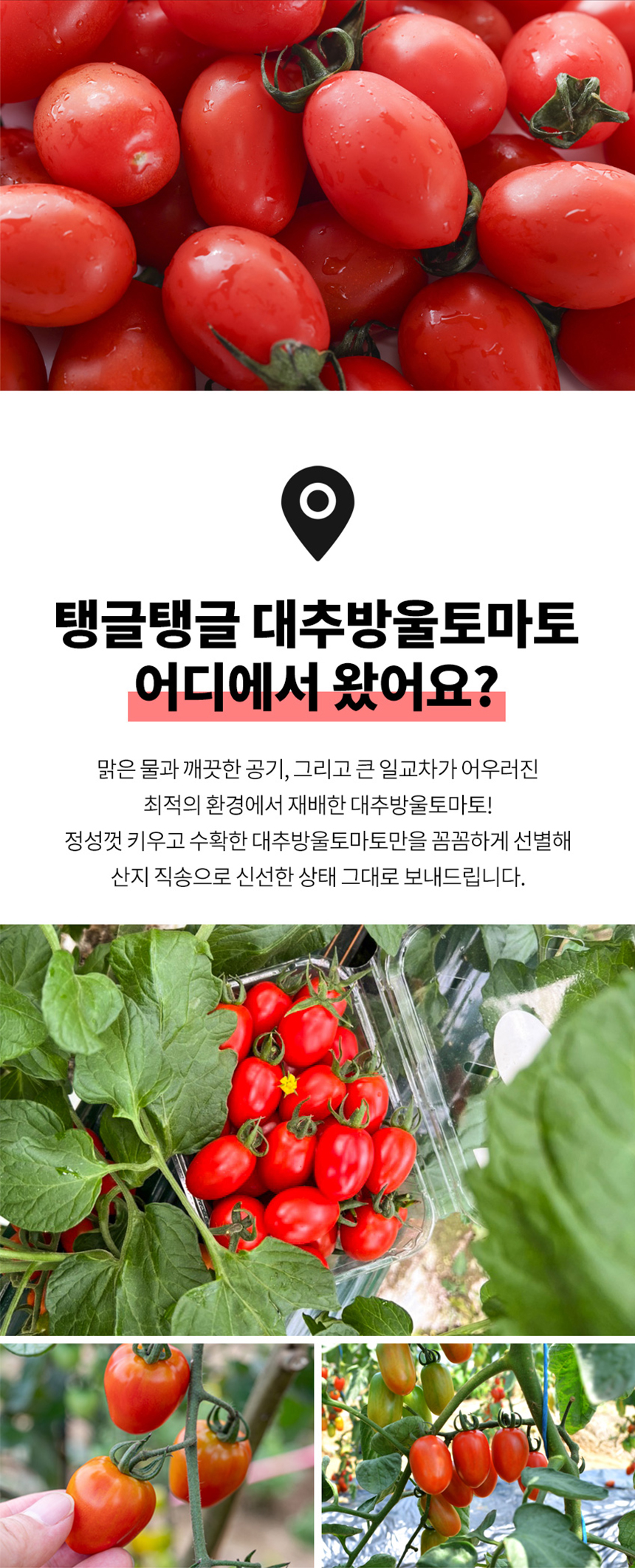 D_02.jpg