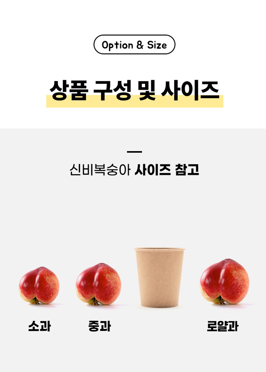 D_05.jpg