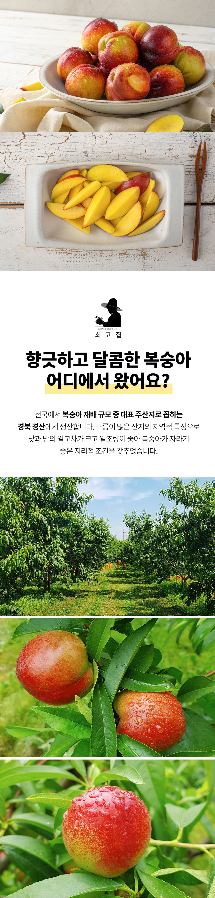 D_02.jpg