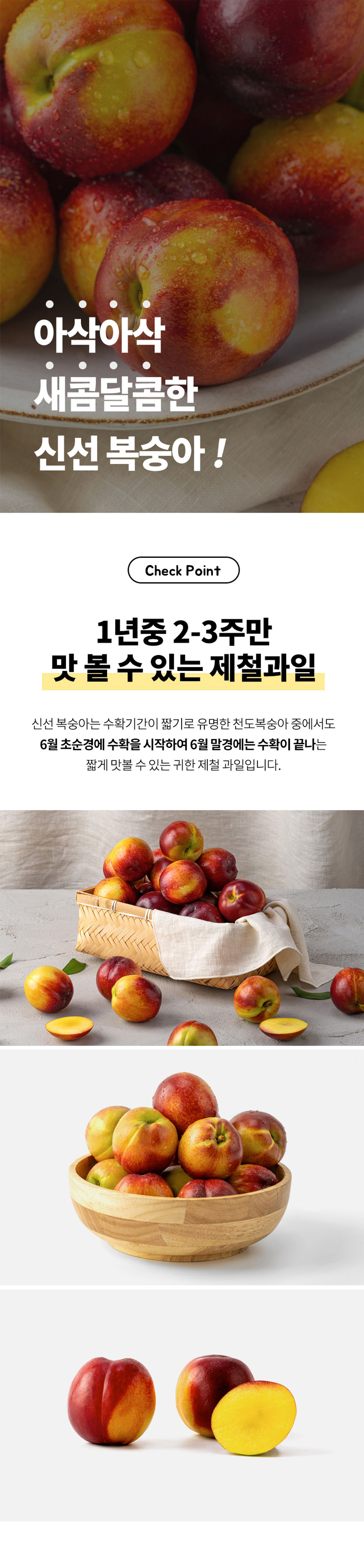 D_04.jpg