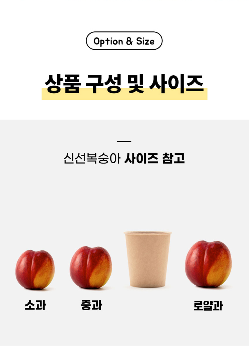 D_06.jpg