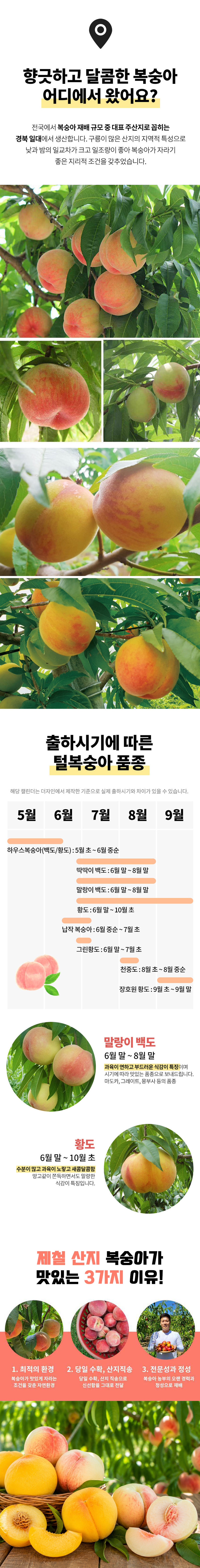 D_02.jpg