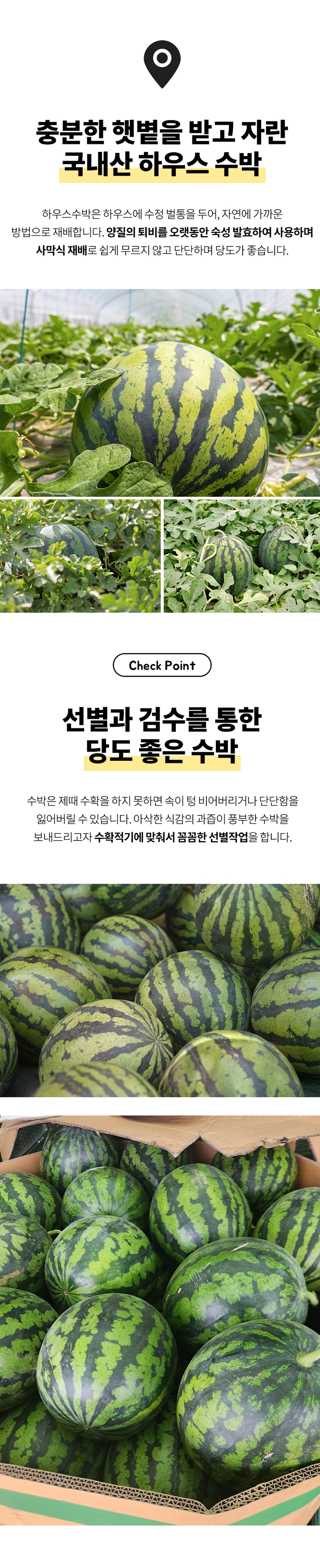 D_03.jpg