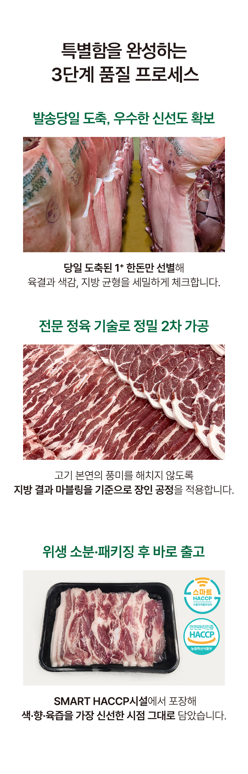 D_05.jpg