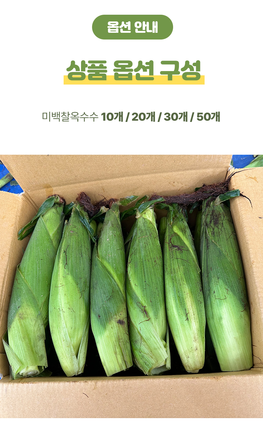 D_06.jpg