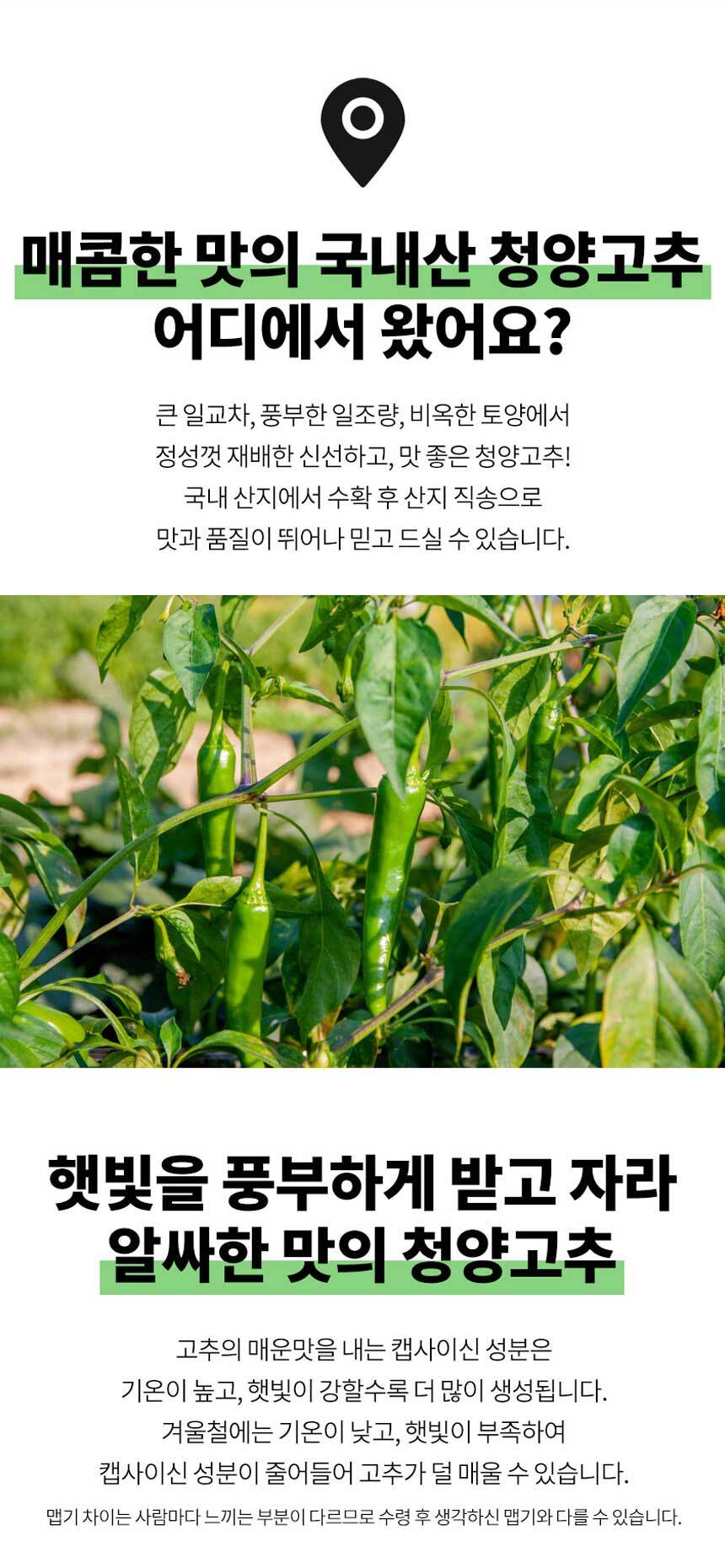 D_02.jpg