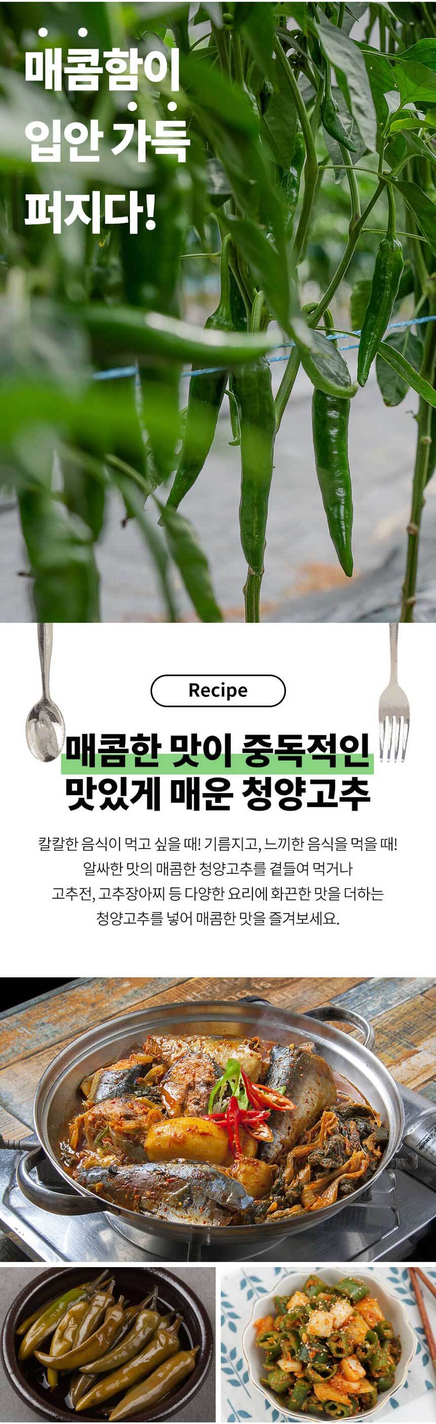 D_04.jpg