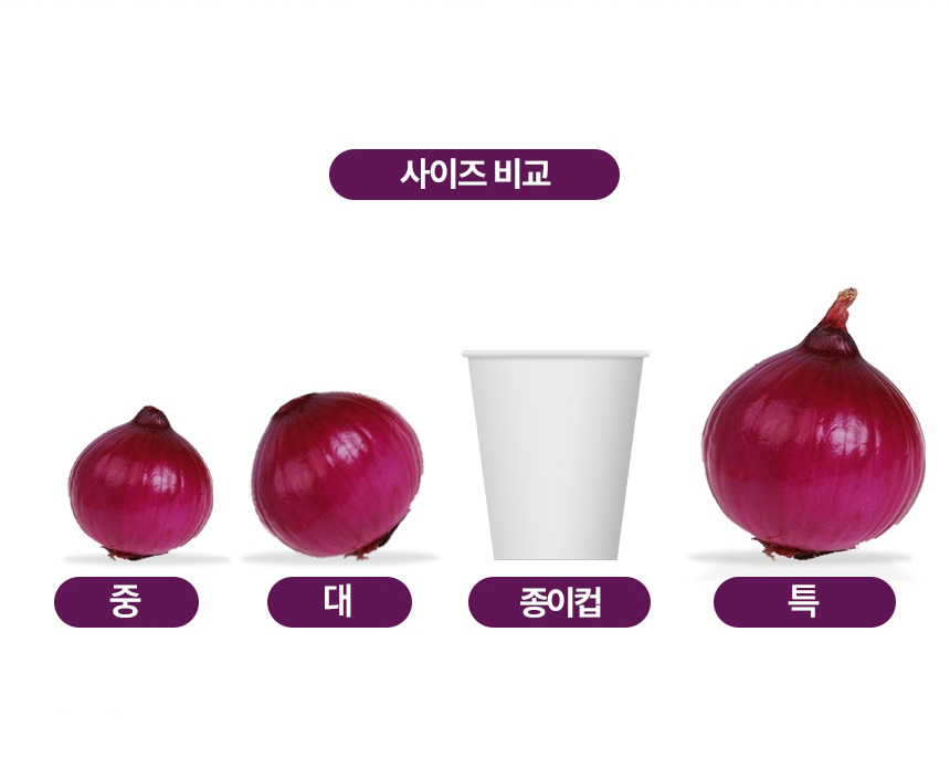 D_05.jpg