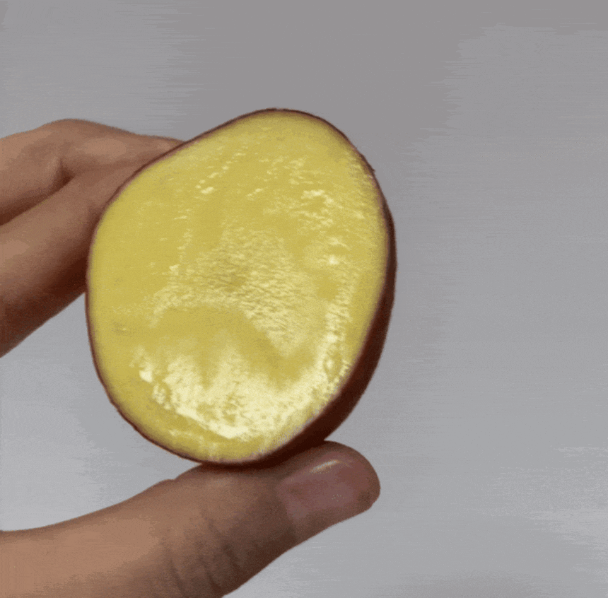D_02.gif