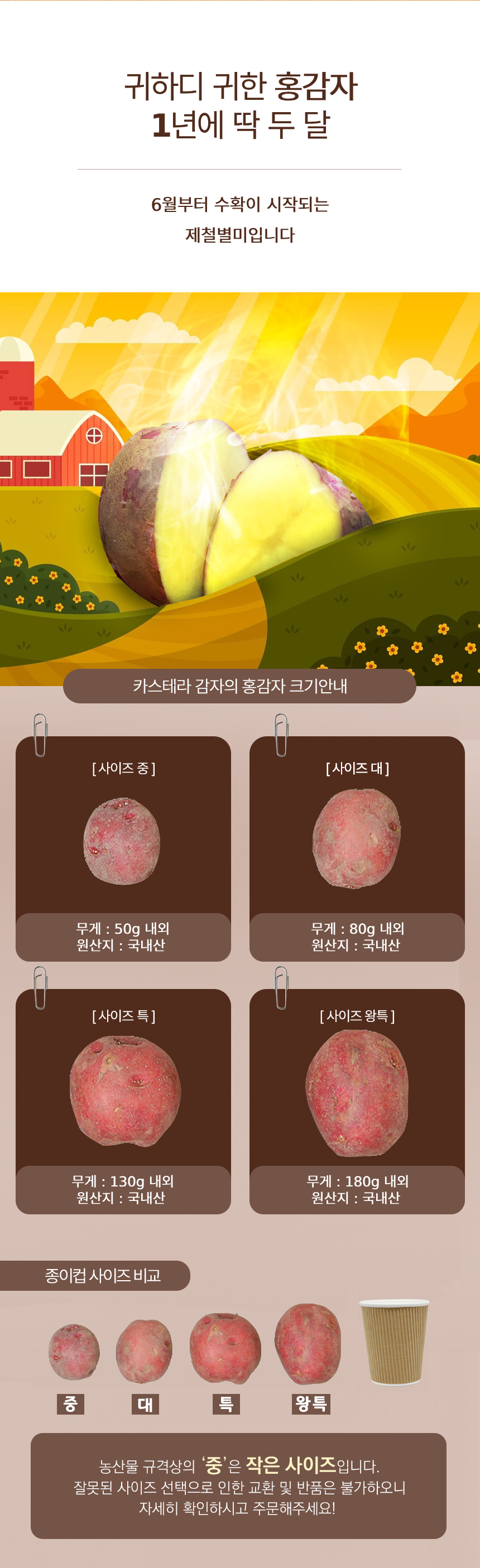 D_04.jpg