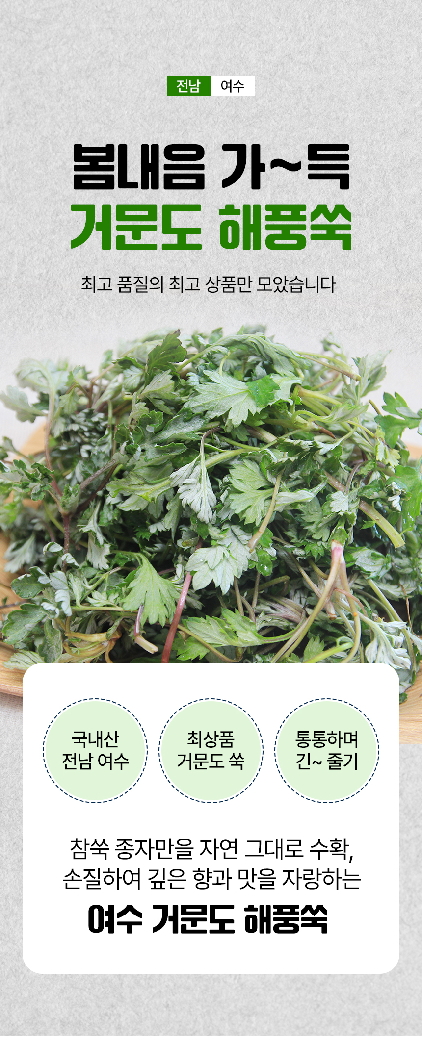 [예약배송 3월4일 출고 예정] 여수 거금도 해풍맞은 해풍쑥 봄나물 나물 1kg 500g