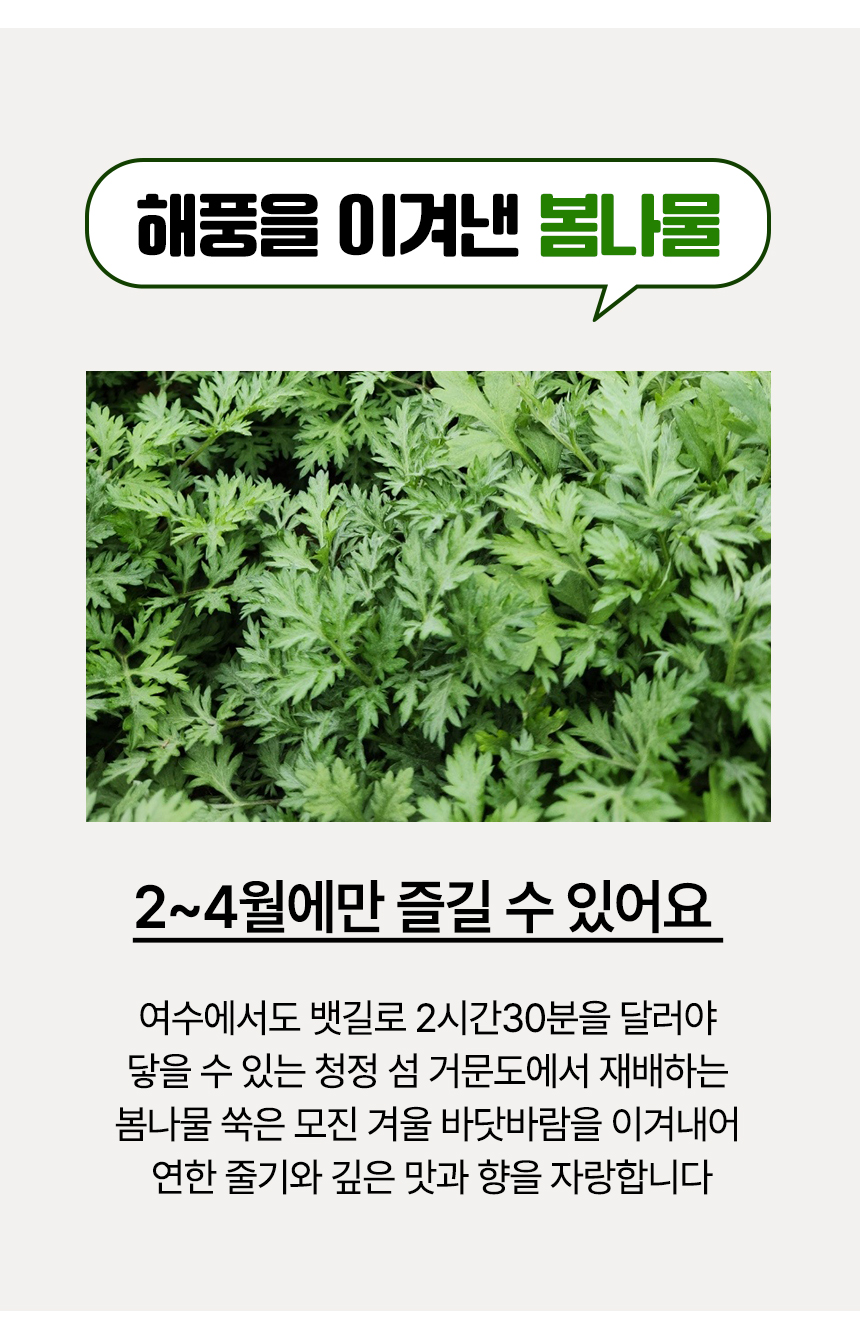 [예약배송 3월4일 출고 예정] 여수 거금도 해풍맞은 해풍쑥 봄나물 나물 1kg 500g