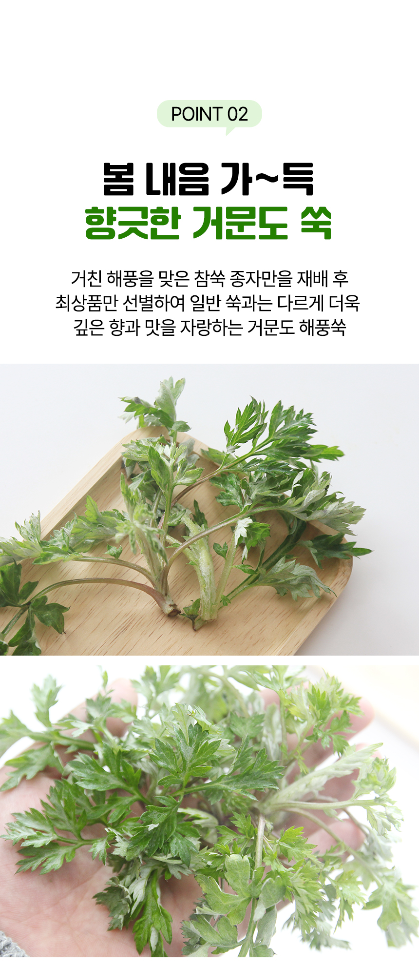 [예약배송 3월4일 출고 예정] 여수 거금도 해풍맞은 해풍쑥 봄나물 나물 1kg 500g