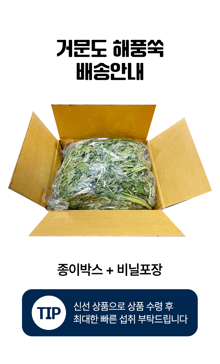 [예약배송 3월4일 출고 예정] 여수 거금도 해풍맞은 해풍쑥 봄나물 나물 1kg 500g