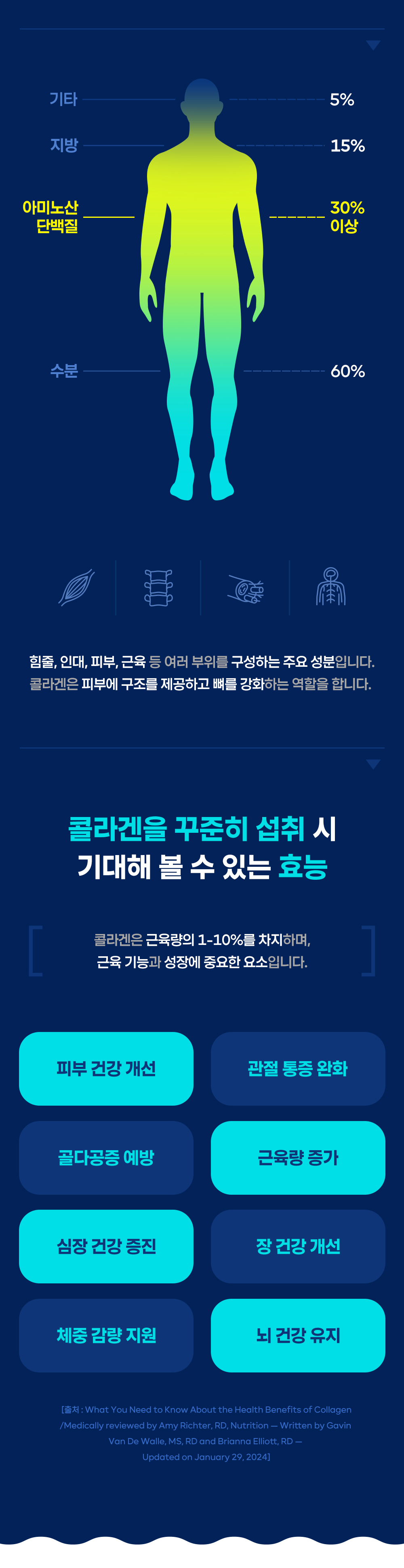 콜라게너지 BCAA 아르기닌 아미노산 10g 12포
