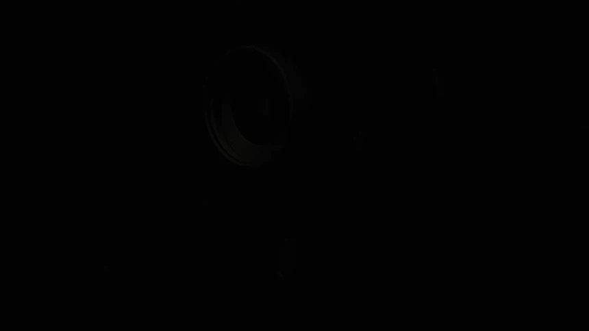 010.gif